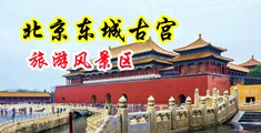 操我好爽骚逼还要视频中国北京-东城古宫旅游风景区